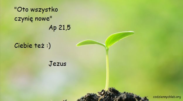 2-nowe-stworzenie