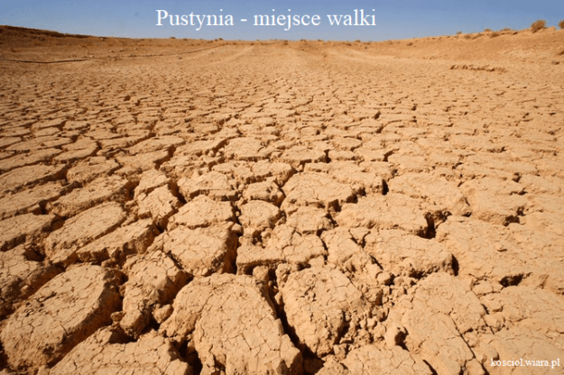 4 – pustynia